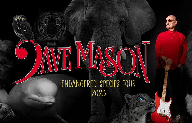 More Info for Dave Mason