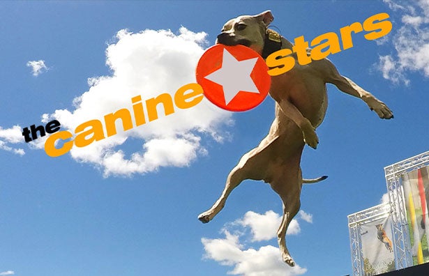 More Info for The Canine Stars Stunt Dog Show